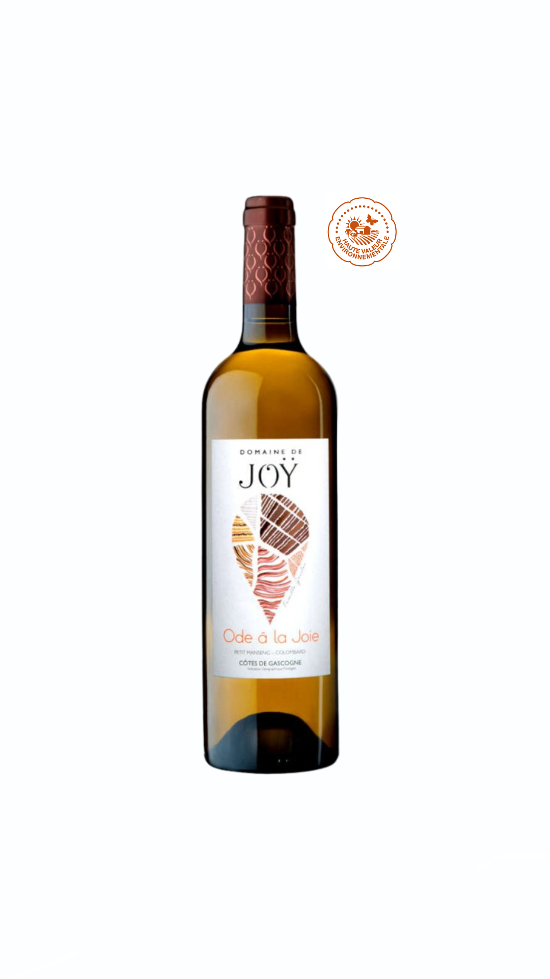 Ode à La Joie - Blanc Sec 75cl - 2021 - Domaine de joy