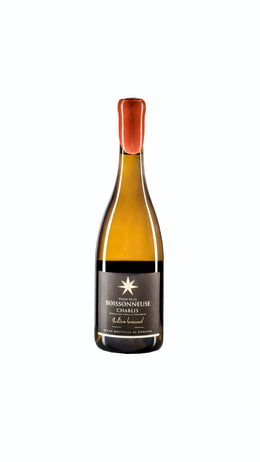 Vigne de la Boissonneuse - Blanc Sec 75cl - 2019 - Julien Brocard