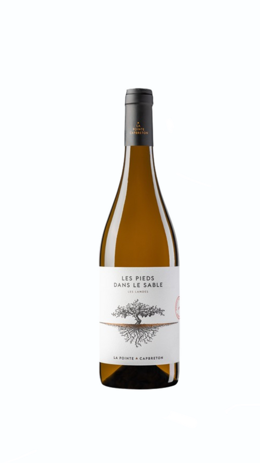 Les Pieds dans le Sable - Blanc Sec 75cl - 2023 - Domaine de la Pointe